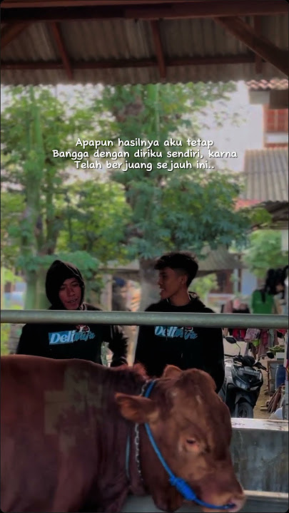 Do'ain papa gedang supaya bisa juara 1 lomba kontes sapi tanggal 11 September 2024 ini guys #masiyun
