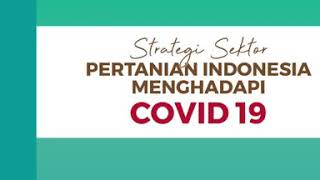 Strategi Sektor Pertanian Indonesia Menghadapi Covid19
