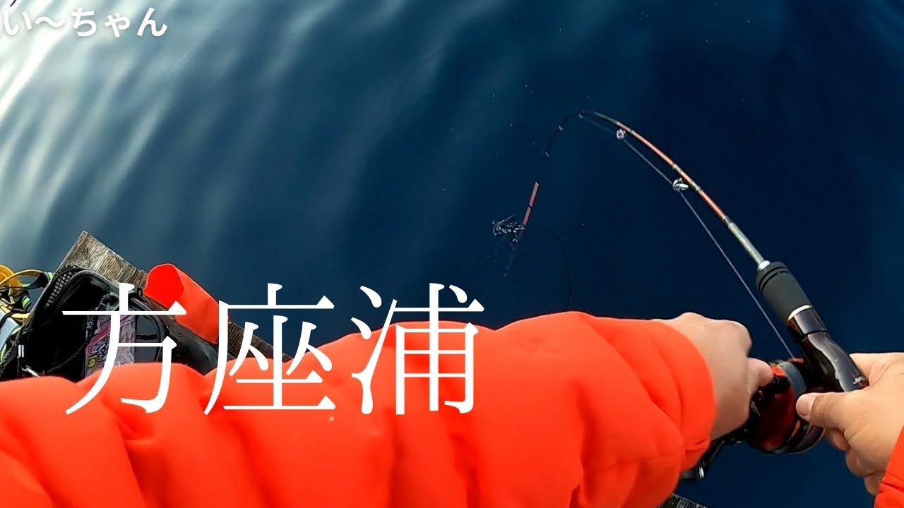 結果マダイ釣りになってしまった手元動画　2025.1.26 NISHIBORI渡船