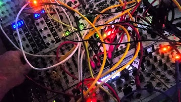 Intellijel shapeshifter