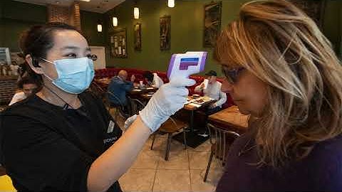 Infrared Thermometer Temperature Scanner with Auto Soap Dispenser