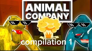 Animal Company Memes Compilation Unedited