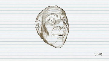 Test Blender Freestyle