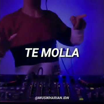 Viral Status WA Te Molla || Dj Te Molla || Story WA Te Molla || ARNON ft. Killua - Te Molla