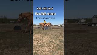 Good night #horse #equestrian #horseriding #pony #horselover #horsey #horsegirl #equestrianvibes