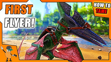 HOW TO TAME A PTERANODON! | YOUR FIRST FLYER! | ARK How To Tame Series