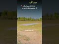 Jawab Ka muntazir rahoun ga✨❤ #poetry #unfrezzmyaccount
