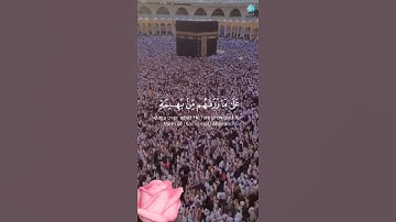 #ا القرآن الكريم شيخ ياسر الدوسري #ا #المصحف #اكسبلور