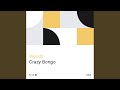 Crazy bongo radio edit