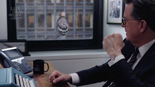 Famous That  Pigeon Looks Just Like Michael Keaton Profile