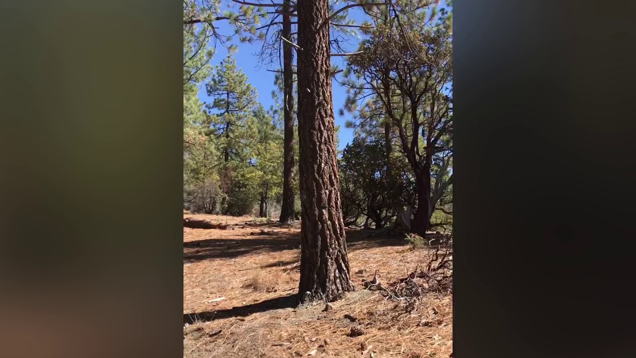 CLUB RAMIDOGG HIKING SUICIDE ROCK TRAIL VIA DEER SPRING TRAILHEAD