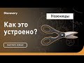 Кухонные ножницы | Как это устроено? | Discovery