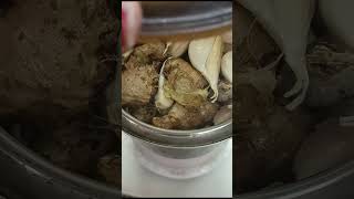 Homemade Ginger Garlic Paste preserve for 3 month  ll #gingergarlic #food