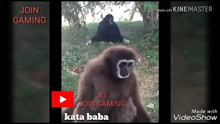 Kocak Kata baba •Part 1 #kata baba #lawak