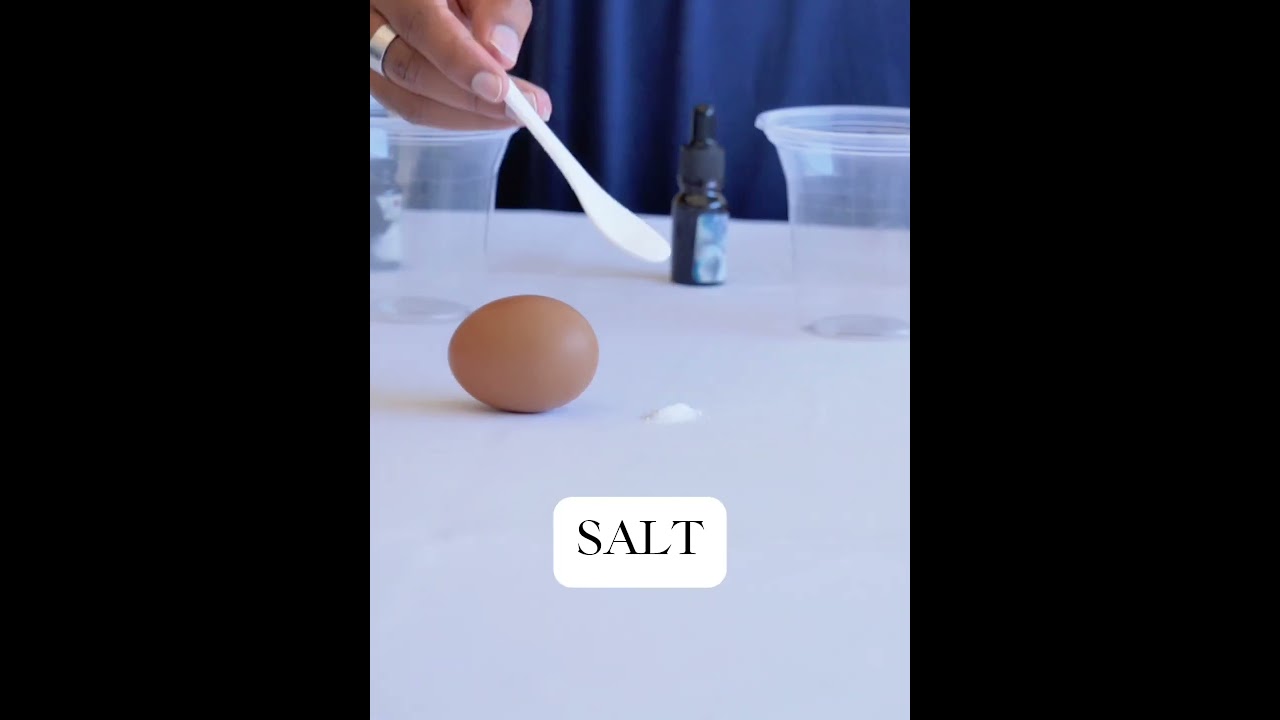 How To Make an EGG stand??Anyone can do this!