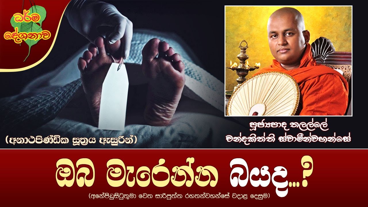 Ven Thalalle Chandakitthi Thero 2022-03-03 12:30PM (ඔබ මැරෙන්න බයද..?) අනාථපිණ්‌ඩික සූත්‍රය ඇසුරෙන්