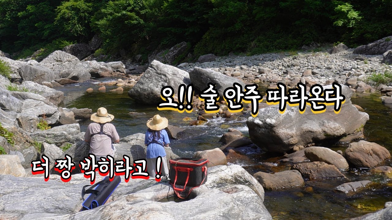 그놈도 우릴 보고 있다.. 몸을 꼭꼭 숨겨야 잡을 수 있다 !!