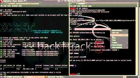 Backtrack 5 XSS and Metasploit. What to do after executing the exploit & selecting a payload.