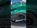 Screams from a green 2024 Stelvio QV 🍀 #stelvio #quadrifoglio #alfa #carsounds #carasmr #exhausts