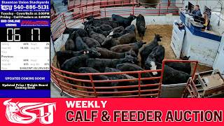 LIVE: Staunton Union Stockyard | 2,000+ Head Shenandoah Valley Feeder Session | March 27, 2026