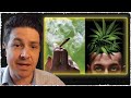 Neuroscientist Explains How Marijuana Impacts your Sense of Self!