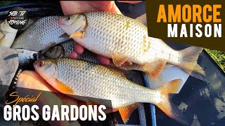 AMORCE Maison | GROS GARDONS  | BIG ROACH