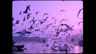 Laaree Chootee - Call [WORMONO feat. Tejas R.H. Lofi Remake] | Hindi Lofi | Harshit Chand |