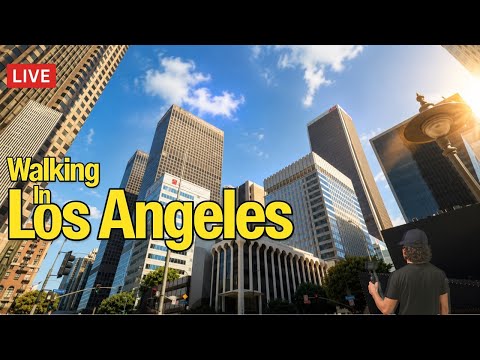 Downtown Los Angeles View live cam preview