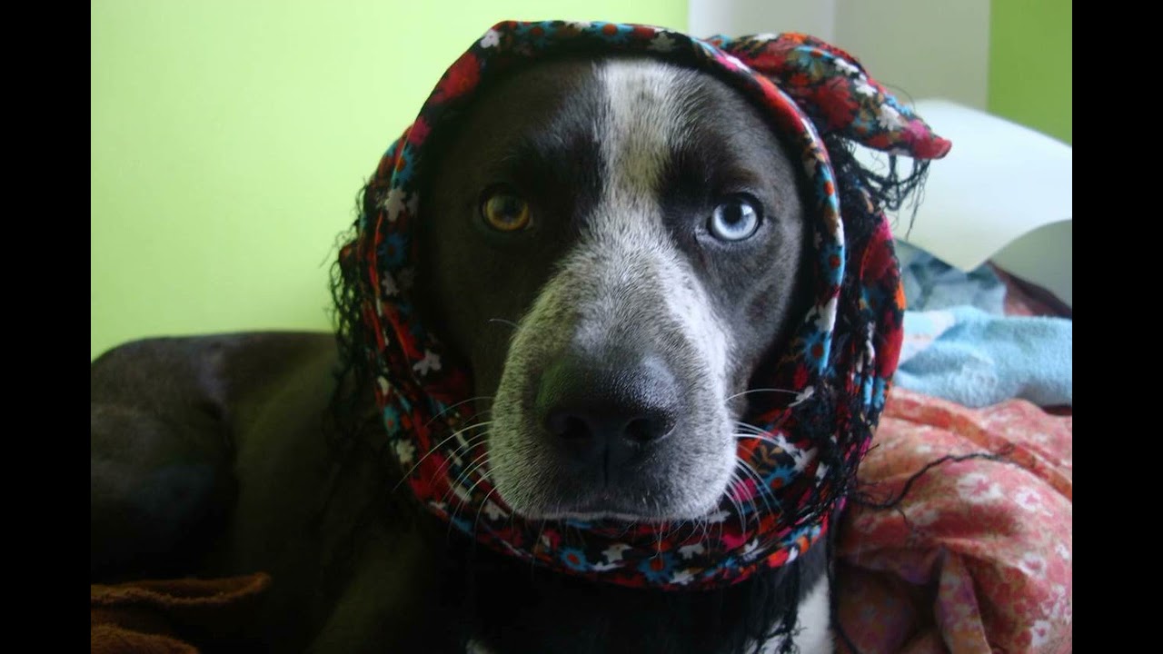 Dezza - Lost In You (Falling In Love) (Estiva Extended Remix)