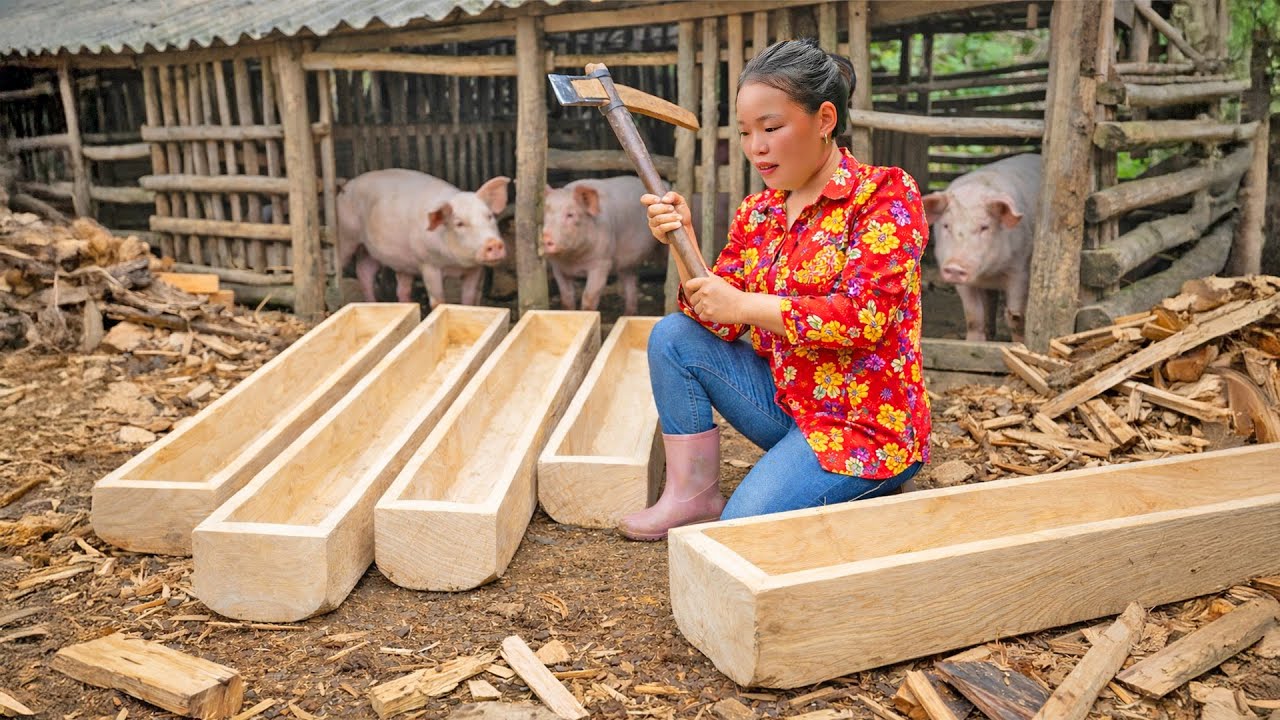How to Make Wooden Crates to Store Pig Feed - Harvesting Pineapples and Selling Them at the Market