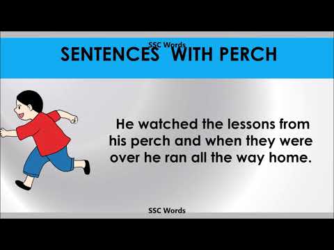 perch---improve-english---meaning-and-5-sentences---gre-/-cat-/-gmat-word---ssc-words