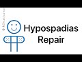 Playdough surgery   hypospadias repair