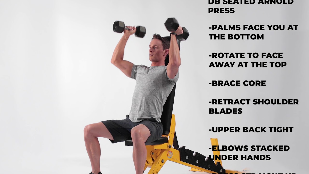 Benefits Of The Seated Dumbbell Arnold Press