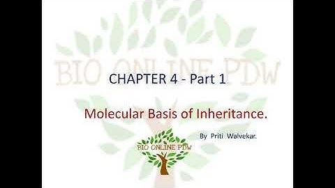 12 th Biology, Video part 1, Chapter 4-Molecular basis of inheritance.