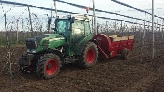 Spargimento Compost nel Frutteto - Az. Agr. Perantoni - Fendt 209F Vario + Annovi