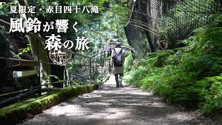 滝を巡るより、森を味わう。｜赤目四十八滝を歩く静かな一日 | Akame 48 Waterfalls, Japan