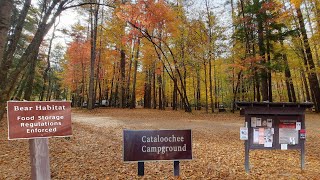 Cataloochee Campground WalkThru  View Of Each Site
