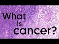 What is cancer and how does it start  cancer research uk