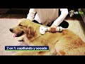 Cepillo Secador Eléctrico Profesional para Mascotas