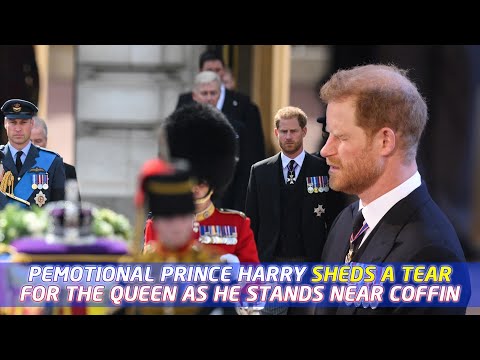 Video: Wie beschermt Buckingham Palace?