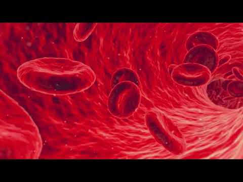 Video: Hemoliza Sângelui în Timpul Testării - Ce Este?
