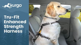 How to Use the Tru Fit Enhanced Strength Harness by Kurgo Dog Gear 38,471 views 2 years ago 2 minutes