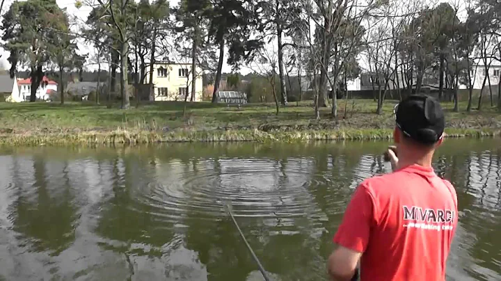 Metoda Zbigniewa Milewskiego na pocie i leszcze w ...