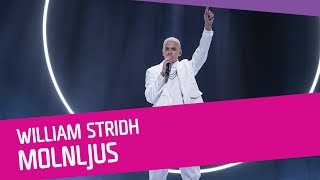Download Lagu William Stridh – Molnljus Download Lagu William Stridh – Molnljus