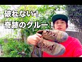 スケートシューズを長持ちさせる方法！シューグー Shoe Goo