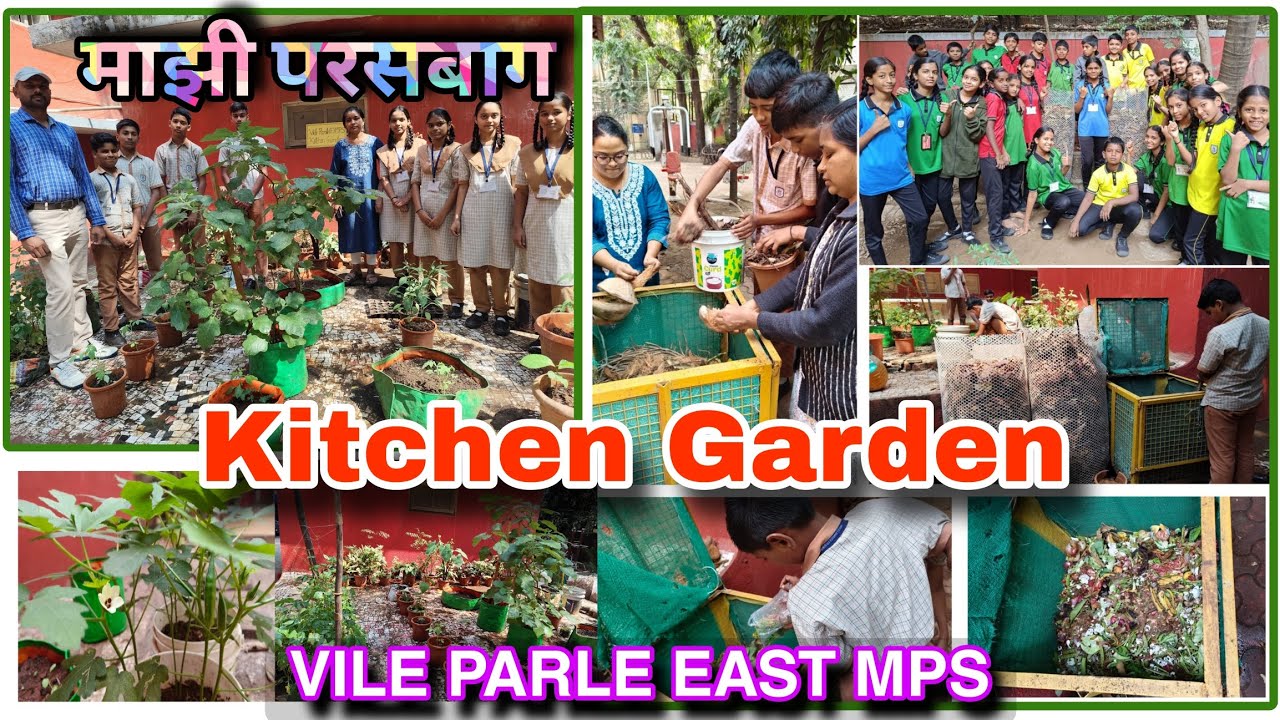 माझी परसबाग Kitchen Garden l Vile Parle East MPS l K/E Ward l #परसबाग #kitchengarden #bmcschool #mps