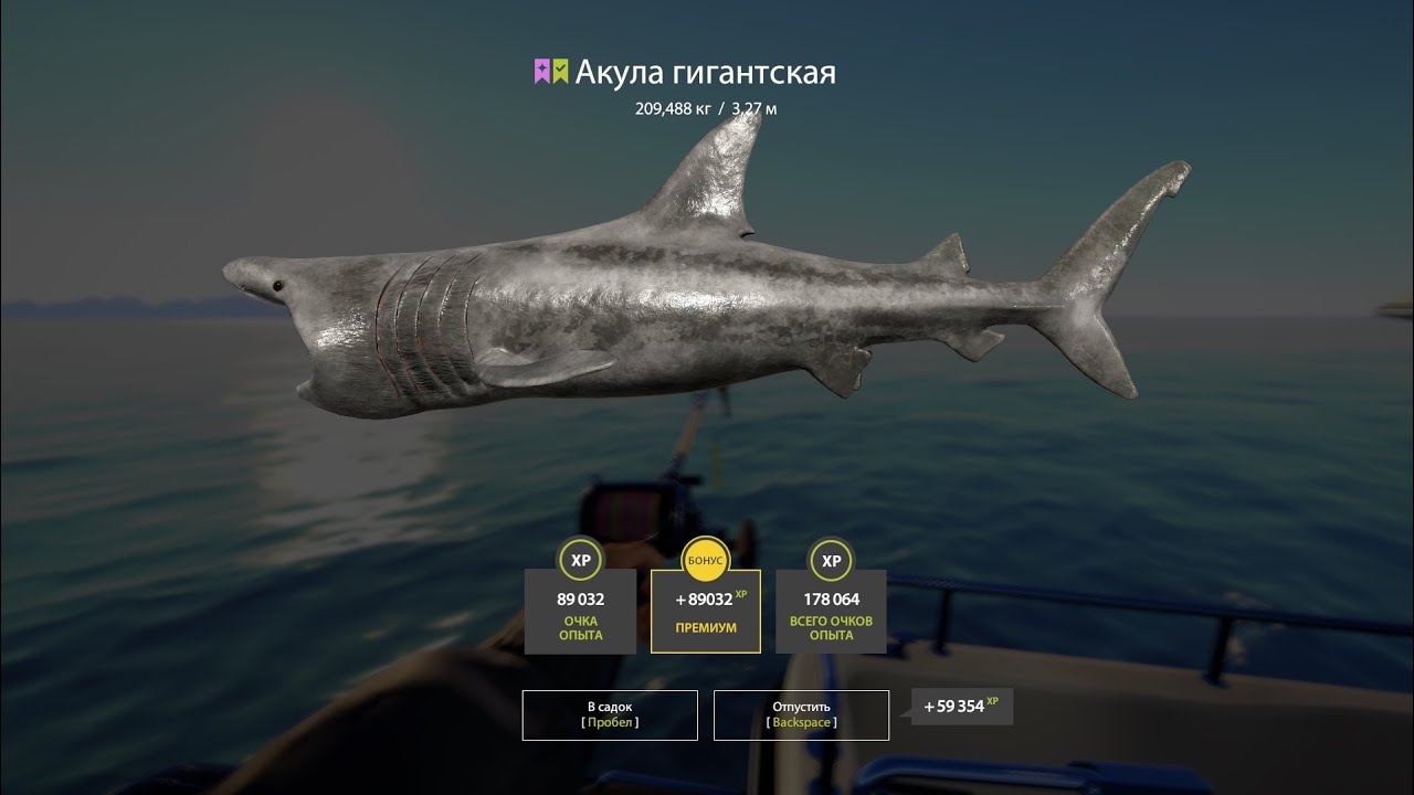 Ловим в свое удовольствие. РР4.