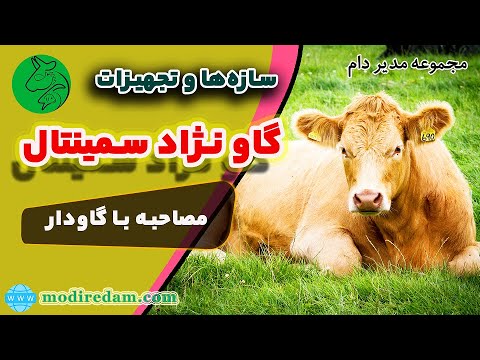 مصاحبه با گاوداران زحمت کش شهرستان شاهرود