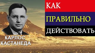 КАК ПРАВИЛЬНО ДЕЙСТВОВАТЬ??💡 Карлос Кастанеда(цитаты)