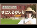 赤毛のアンOP【きこえるかしら/大和田りつこ】を歌ってみた。